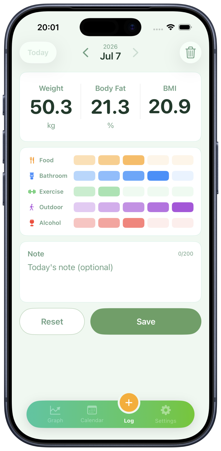 Screenshot of the Input screen